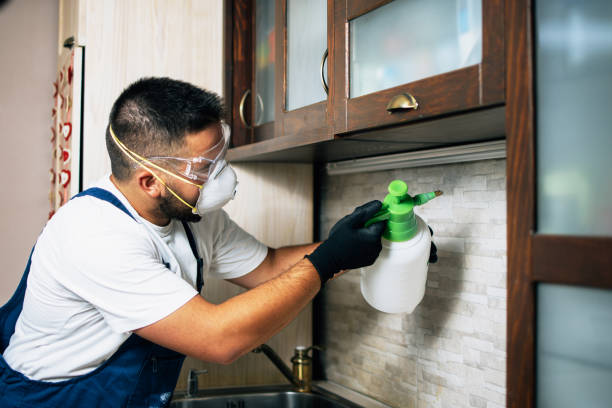 Reliable St Augustine South, FL Pest Control Solutions